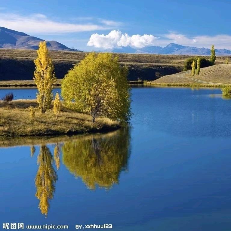 ♊落叶🍂⁵²¹⁶