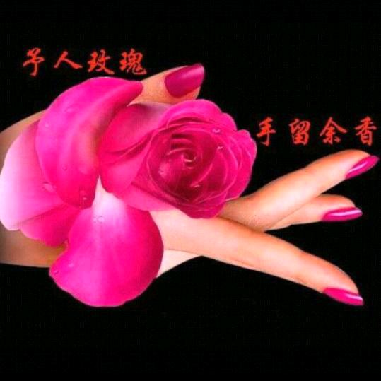 超越平凡