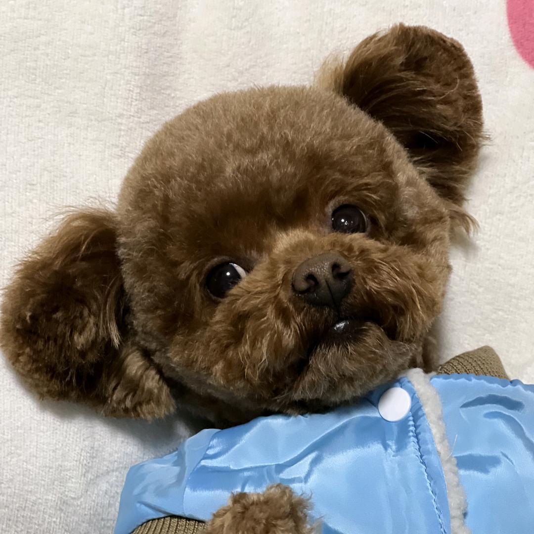 陈🍒🍒🍒🍓🍓