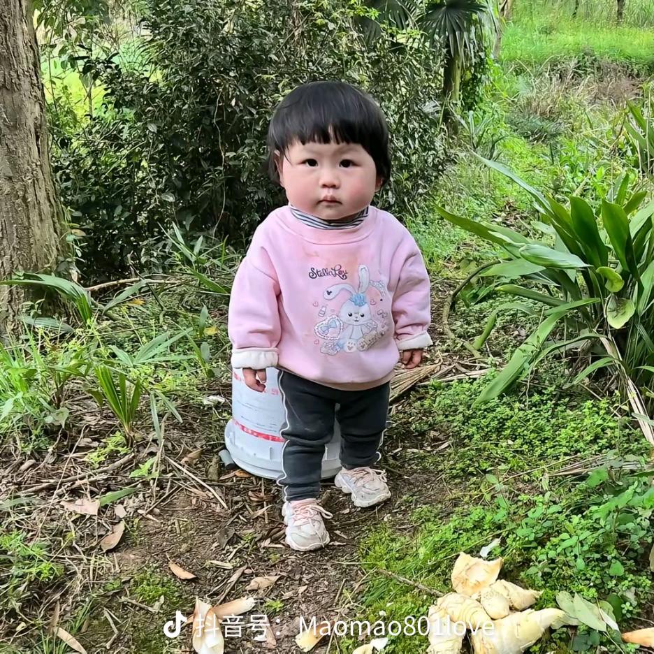 风华正茂