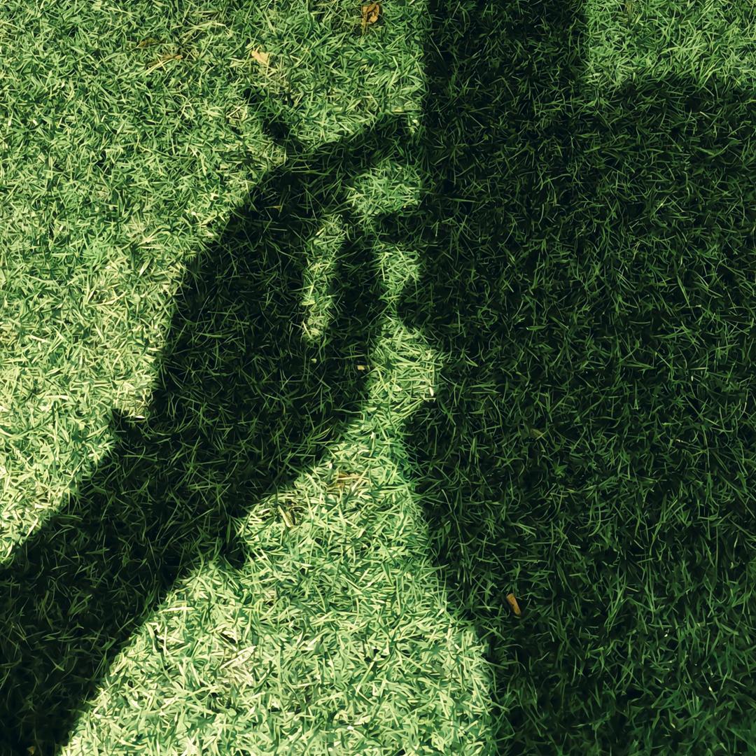 田品农业（路）