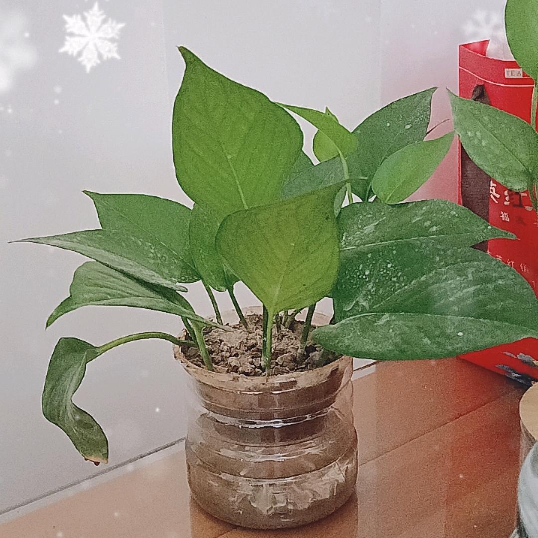 有  财