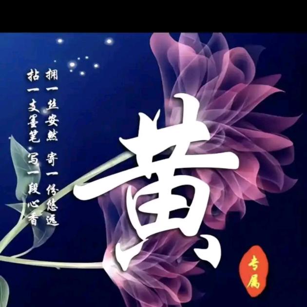 好运连连，《（黄叨叨)》