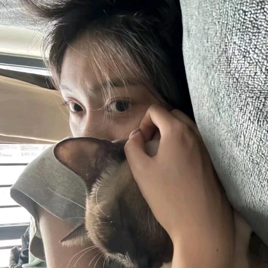 CC酱：
