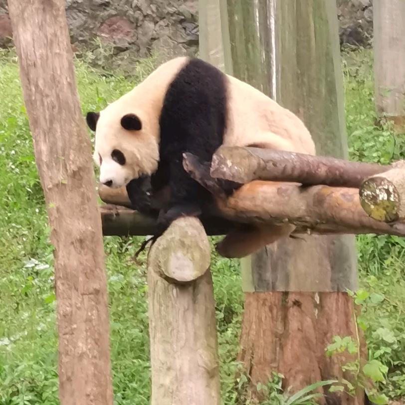 随缘