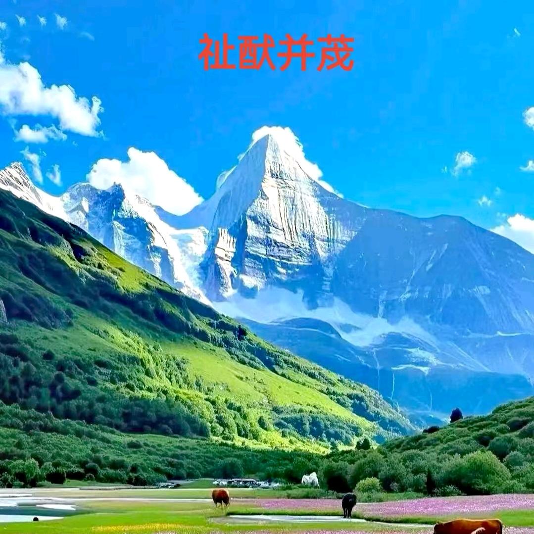 祉猷并茂