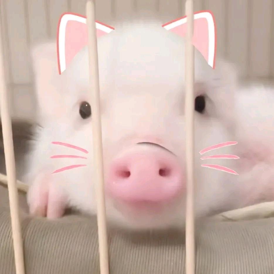 𝙅𝙅爆