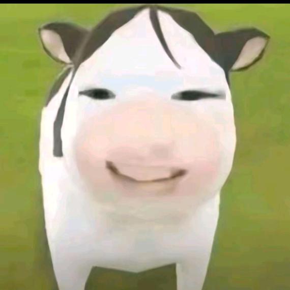 小猪不胖