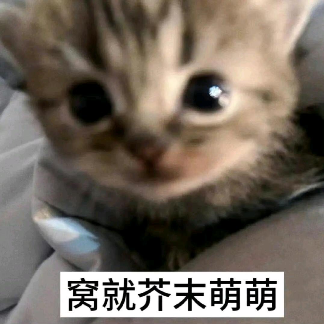 眼尾痣（置顶推图可扩）