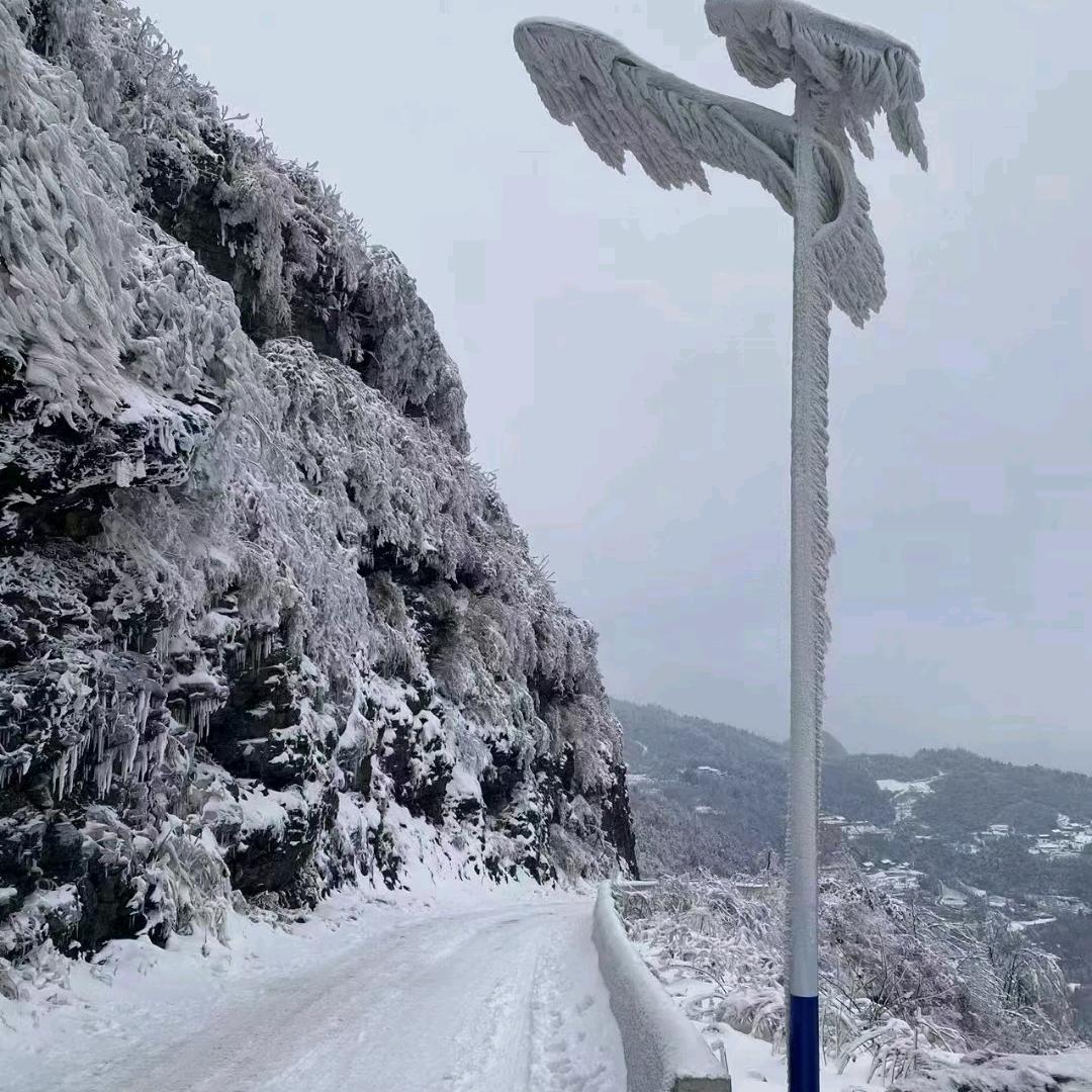 大诲