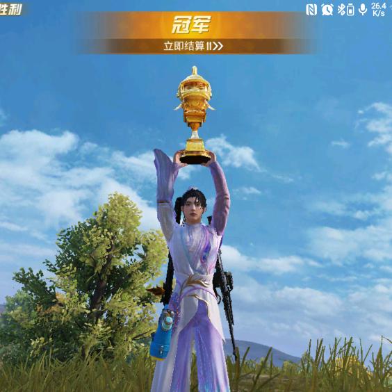 大唐仿石漆，艺术漆