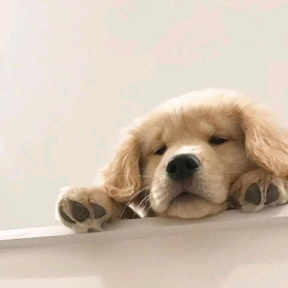 讷河电信营业厅