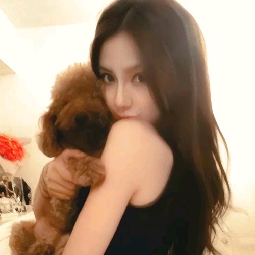 懒羊羊(๑><๑）