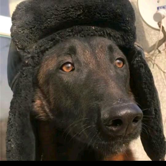 魑魅魍魉傀儡五鬼👻大哥