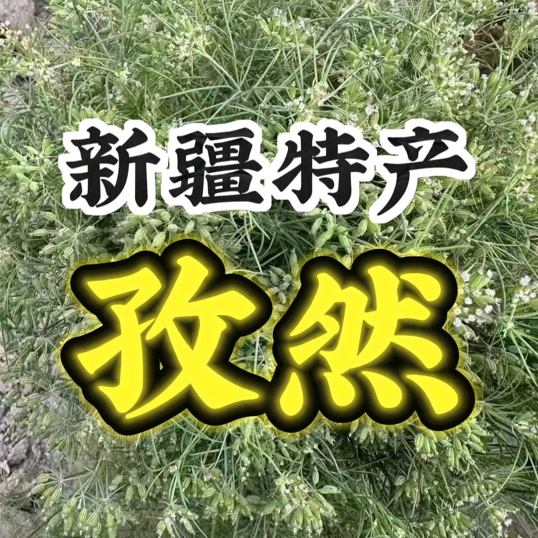 万疆孜然