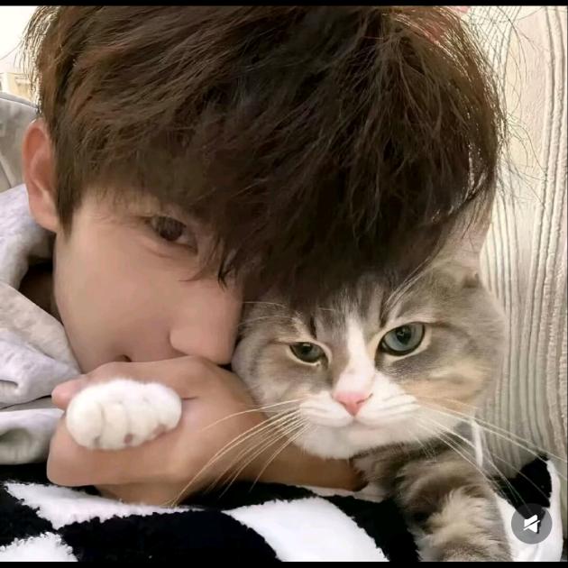 一个睿智的男人