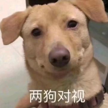 璇璇