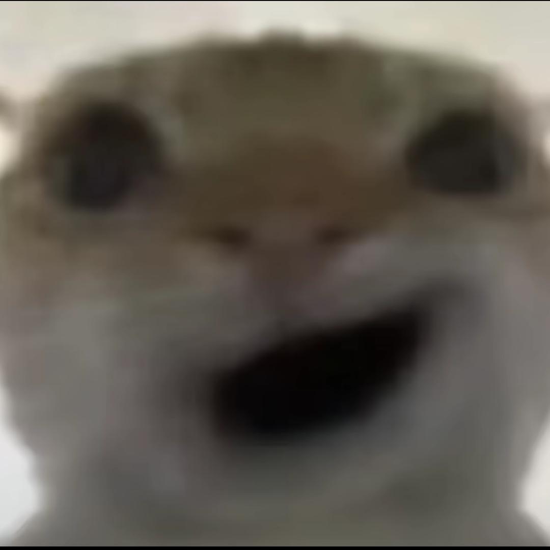 白野（三角洲行动）