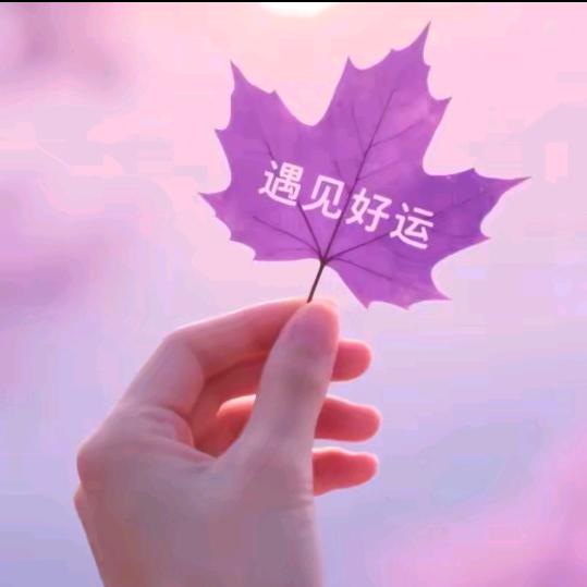 遇见好运