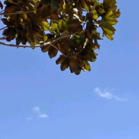 最善意的谎言，如果有来生