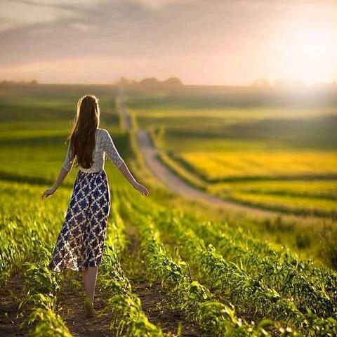 助农邮选（有关必回）