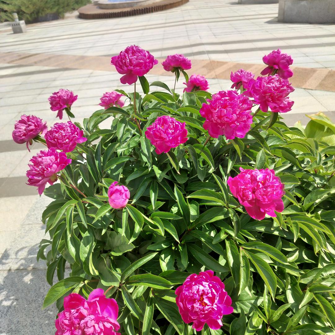 好运长伴