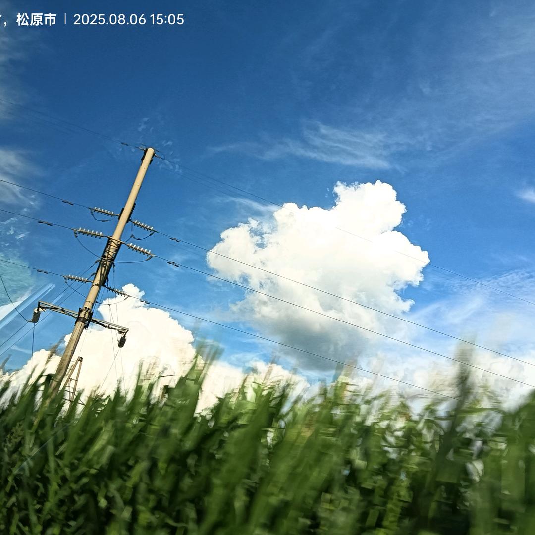 贩卖山东