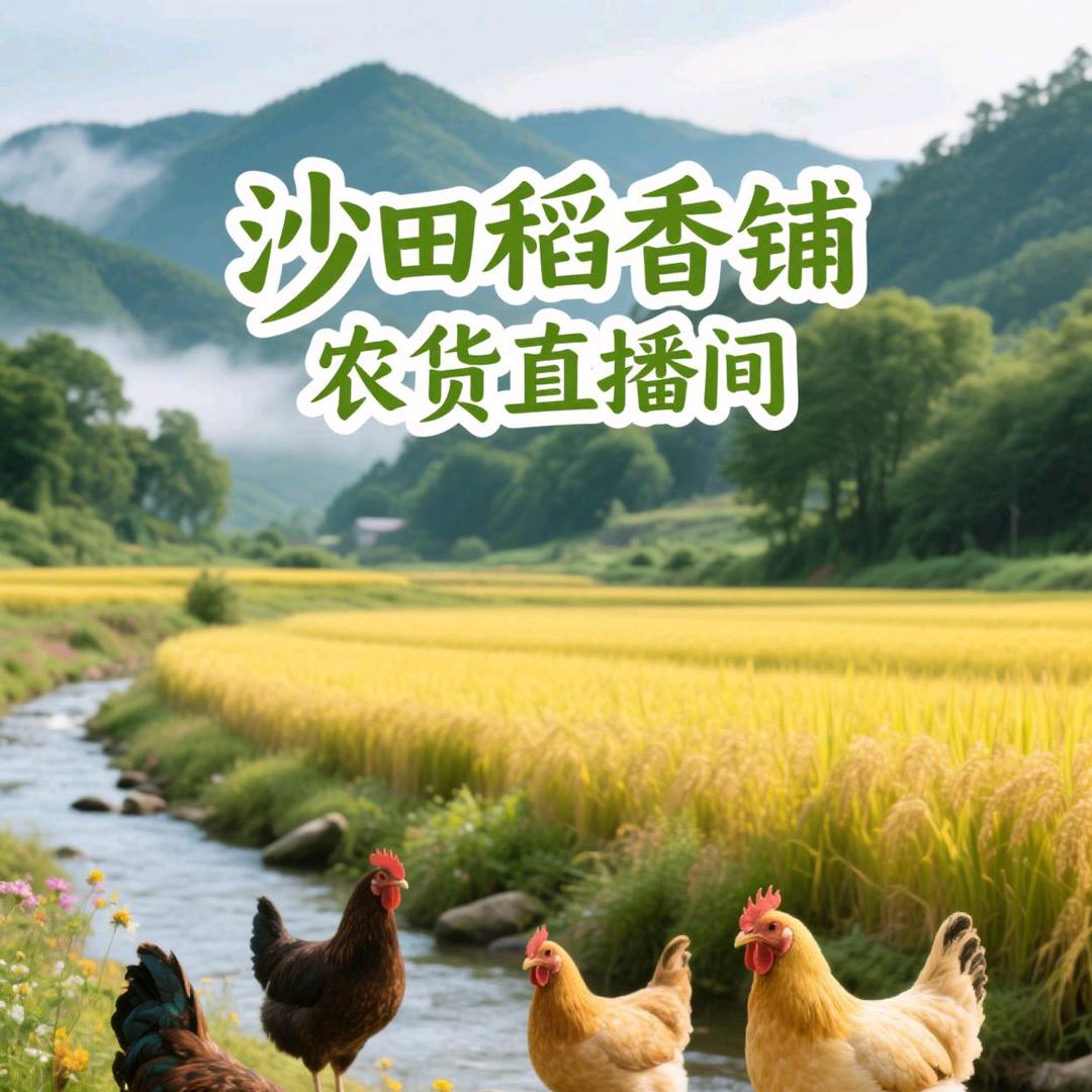 铁汉守乡