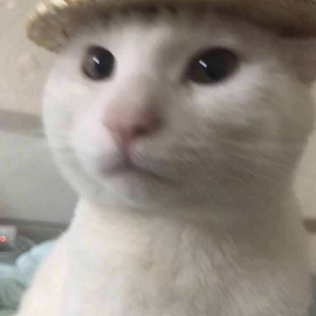 丨