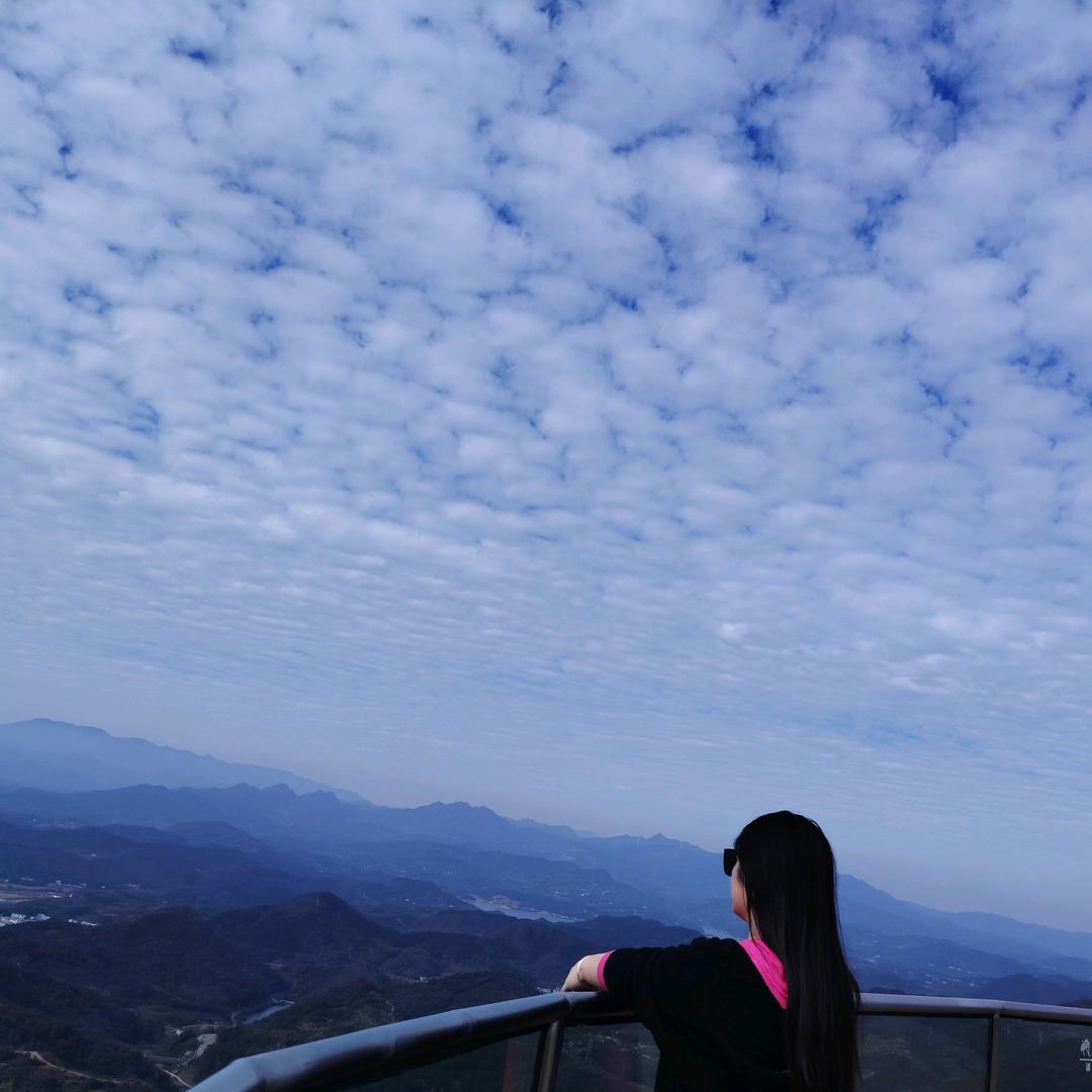 燕喜娜姨妈热饮鲜炖燕窝