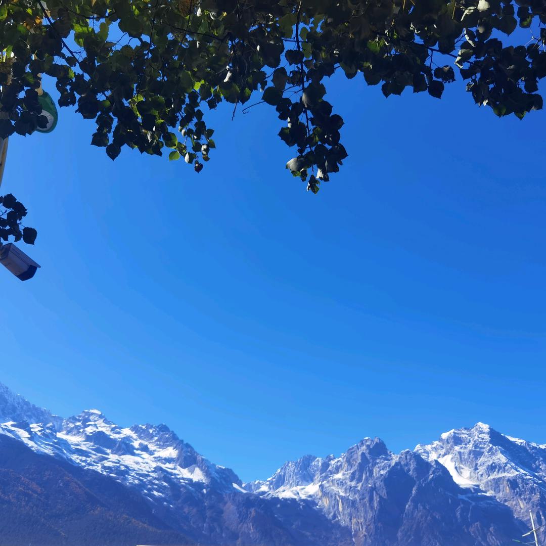 良品铺子国际百纳店