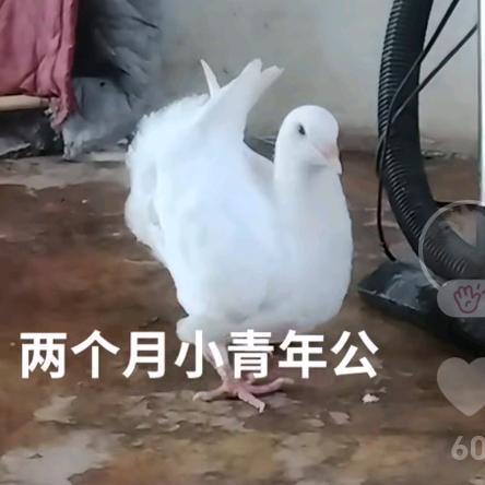 🇨🇳《湖南》💖老王💖