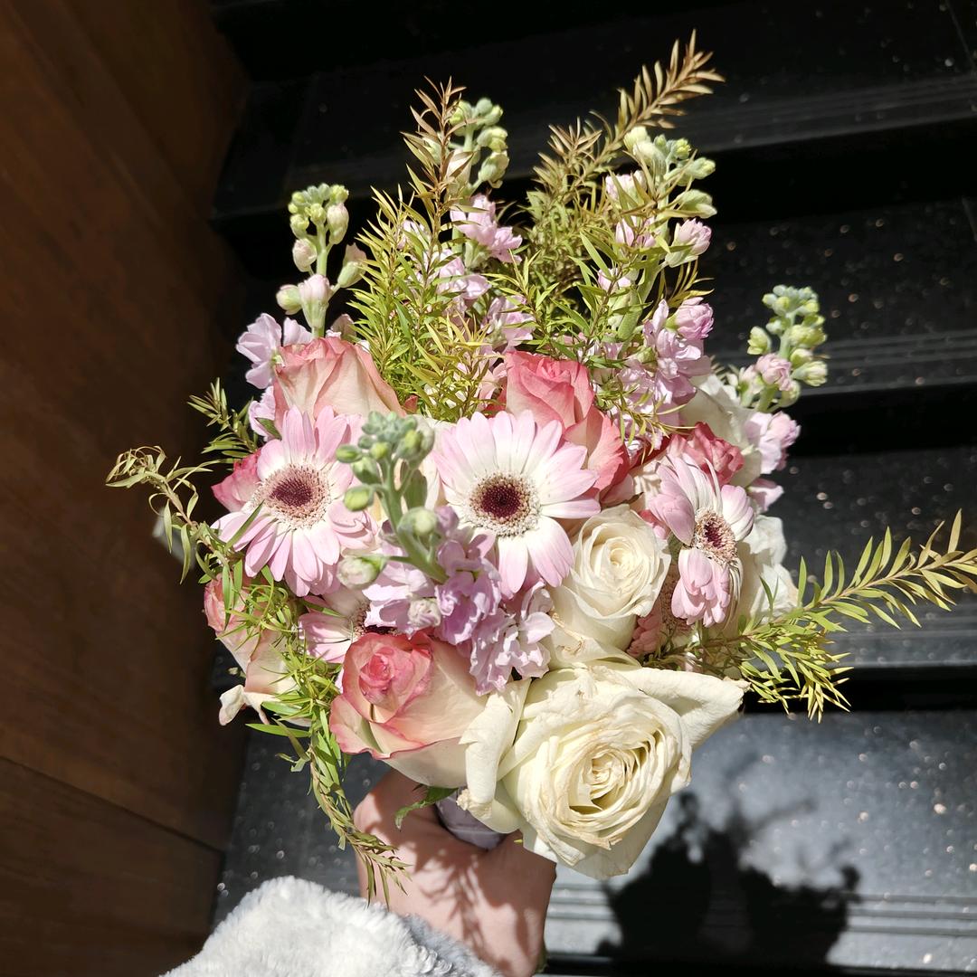 桔梗（三角洲跑刀绿鼠）