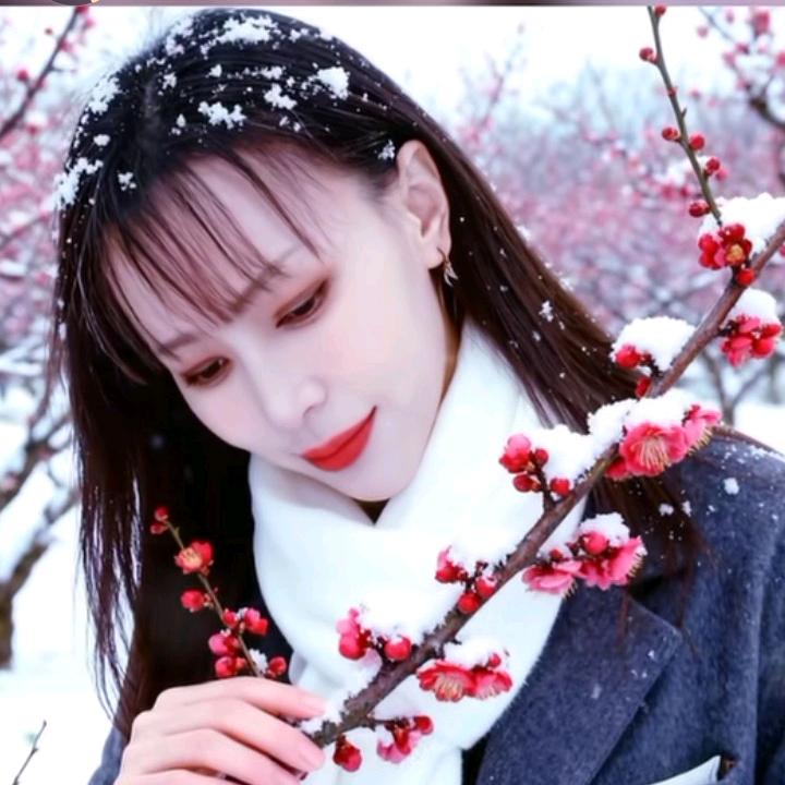贵花