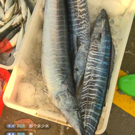 索福瑞