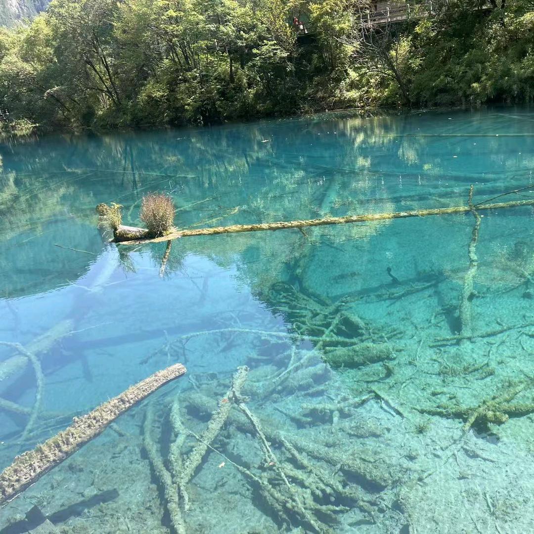 快樂的乐头像