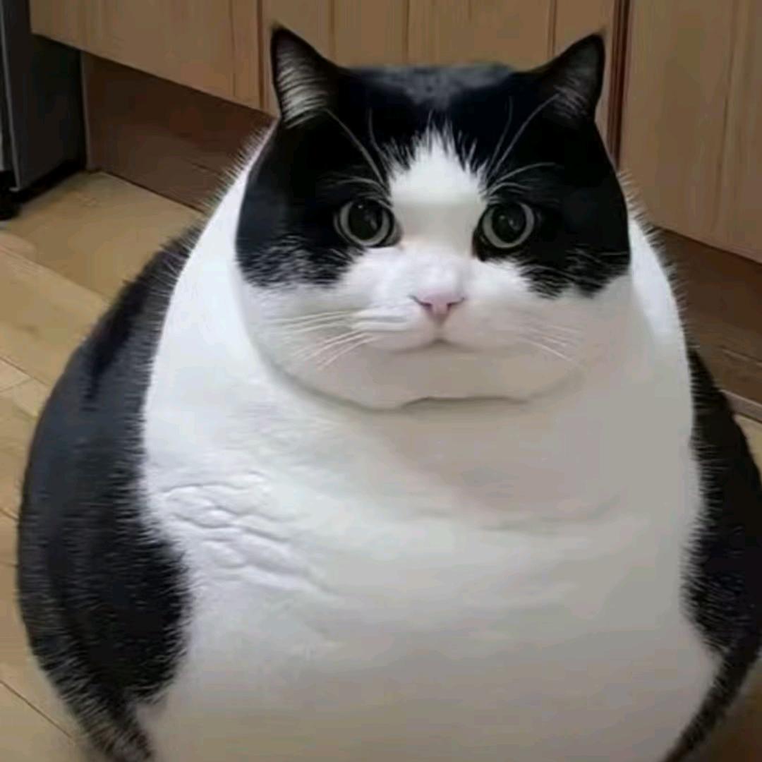 🚬ಇ时间᭄旅者໊࿆ྃ࿐