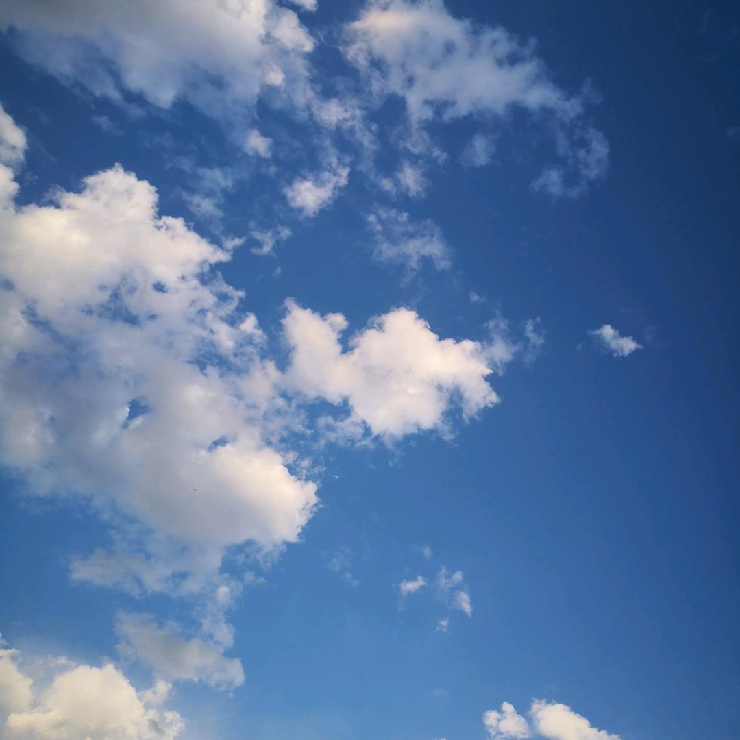 凤凰源头工厂郭总直播间