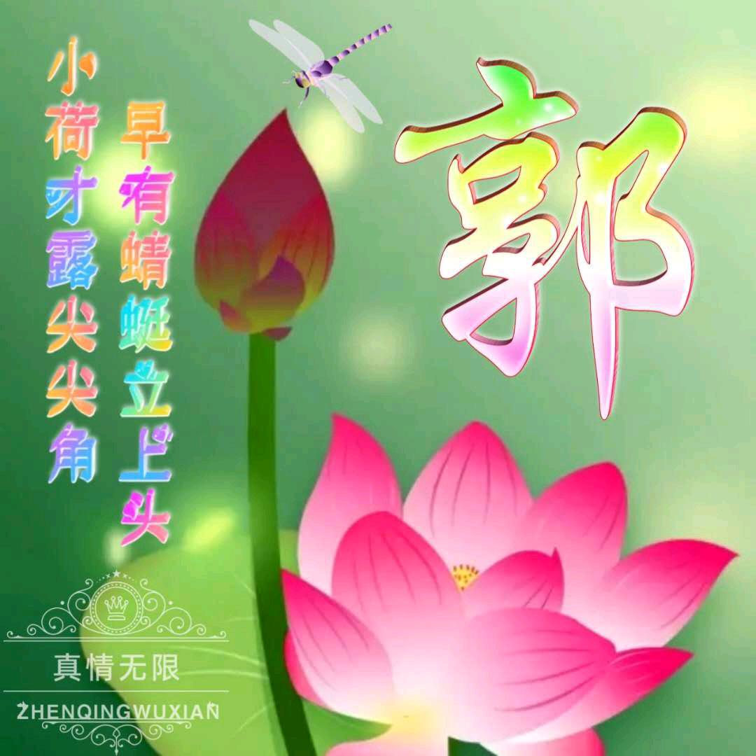 一生所爱