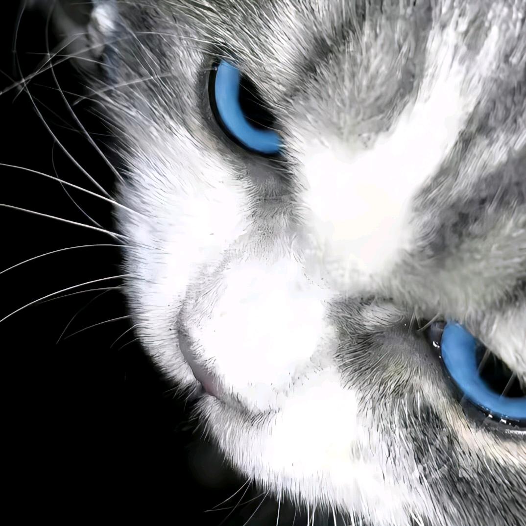 Bluelue