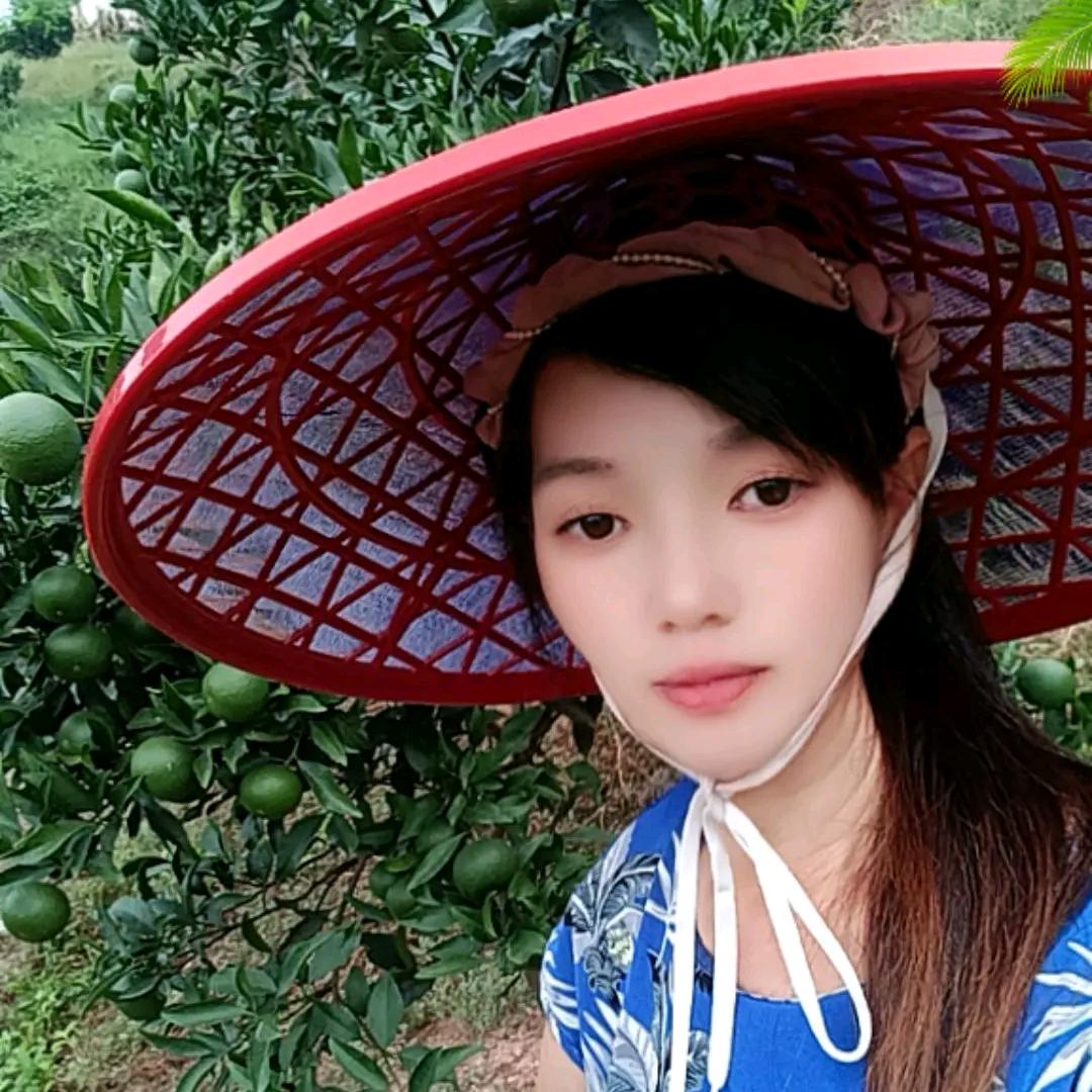 山农珍姐