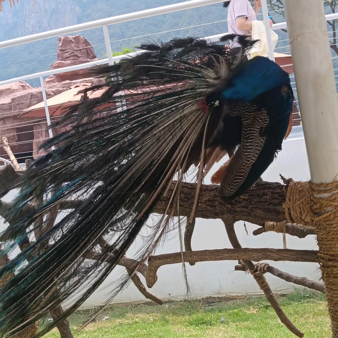 凉了时光、疼了心