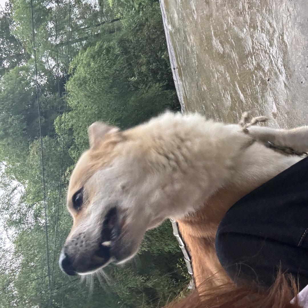 被闰土刺的猹🌼