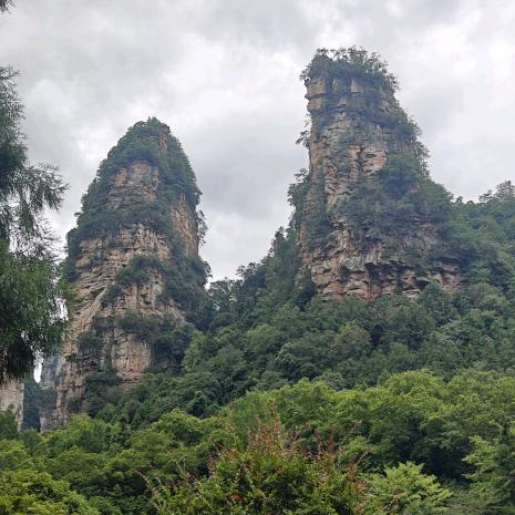 桥梁工程娄高艳