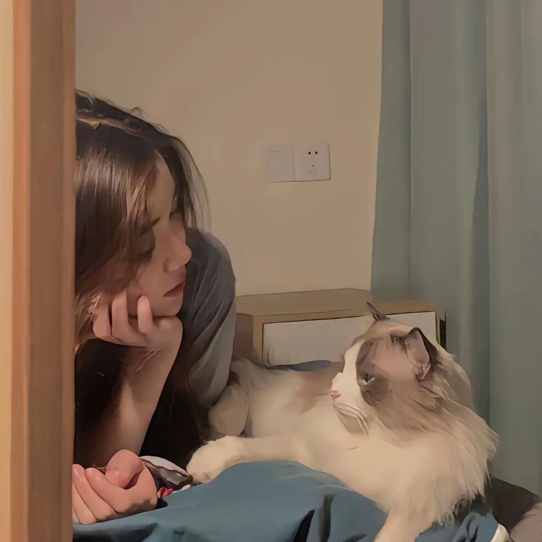 一只眠羊