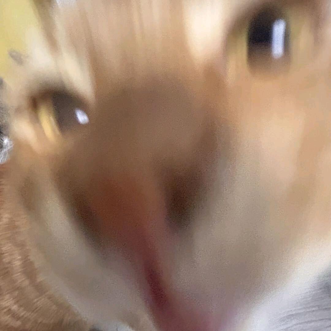 六倍毛茸茸