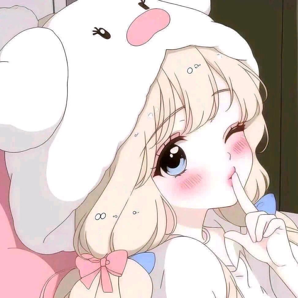 粥粥n