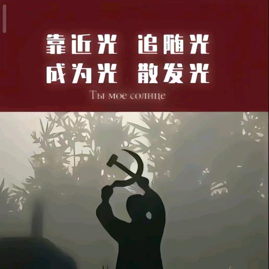 柳白
