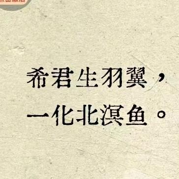 永远的（1。Ve）