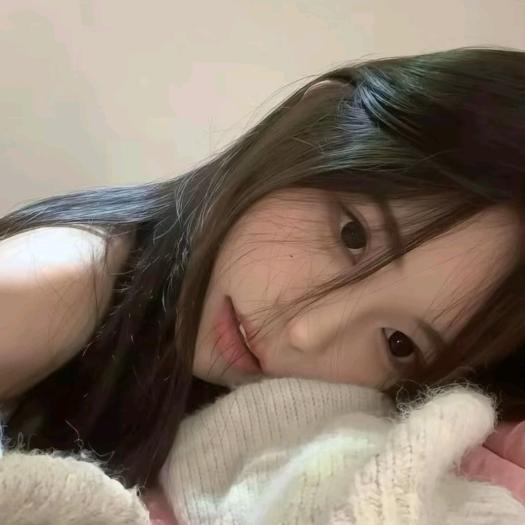 小狗不冬眠💤